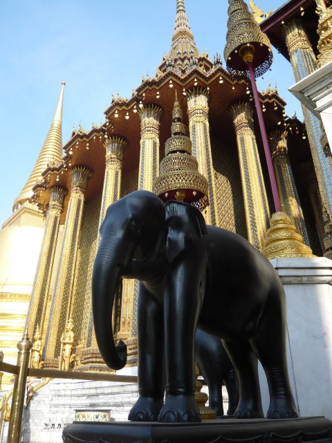 p1040191.jpg